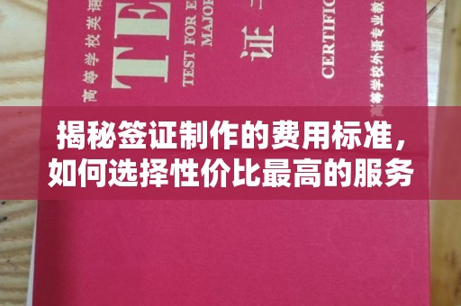 雅江揭秘签证制作的费用标准，如何选择性价比最高的服务？