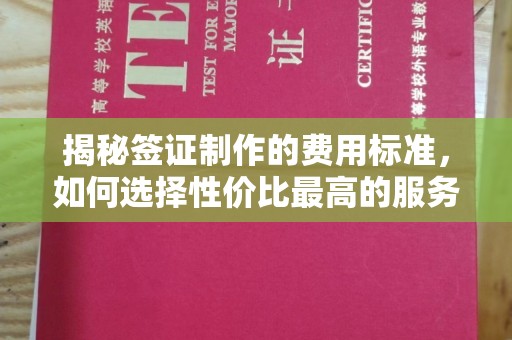 雅江揭秘签证制作的费用标准，如何选择性价比最高的服务？