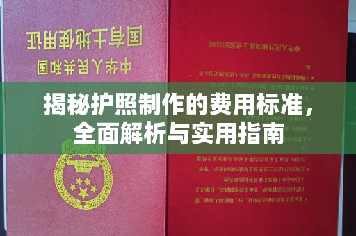 雅江揭秘护照制作的费用标准，全面解析与实用指南