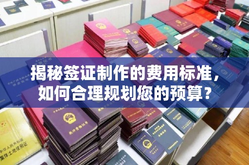 雅江揭秘签证制作的费用标准，如何合理规划您的预算？