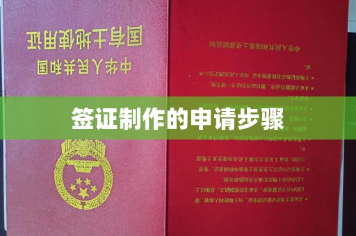 雅江签证制作的申请步骤