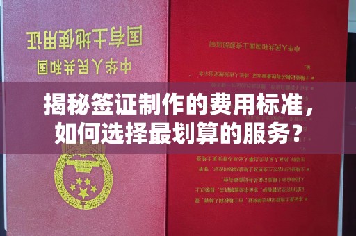 雅江揭秘签证制作的费用标准，如何选择最划算的服务？