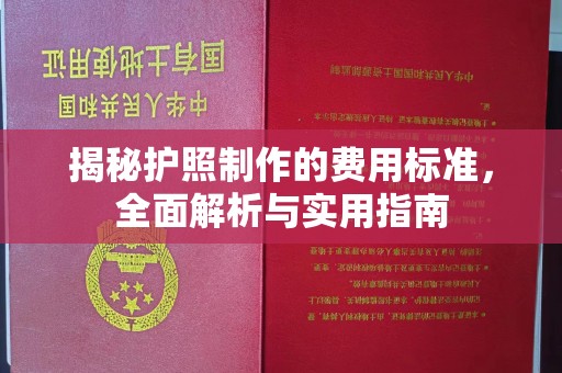 雅江揭秘护照制作的费用标准，全面解析与实用指南
