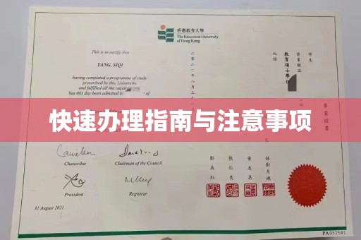 雅江快速办理指南与注意事项