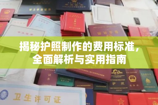 雅江揭秘护照制作的费用标准，全面解析与实用指南